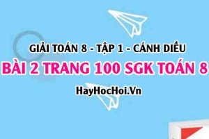 Giải bài 2 trang 100 Toán 8 Tập 1 SGK Cánh Diều